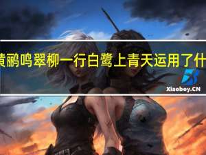 两个黄鹂鸣翠柳一行白鹭上青天运用了什么修辞手法