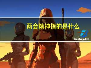 两会精神指的是什么