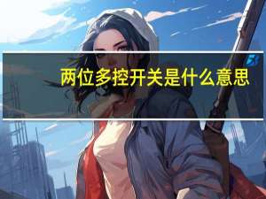 两位多控开关是什么意思