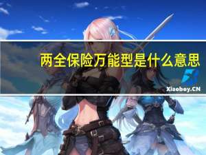 两全保险万能型是什么意思