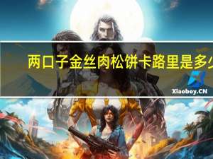 两口子 金丝肉松饼卡路里是多少