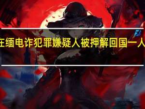 两名在缅电诈犯罪嫌疑人被押解回国一人为骨干头目