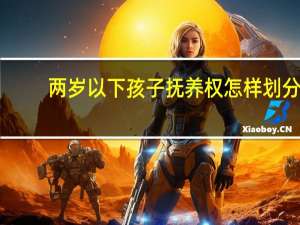 两岁以下孩子抚养权怎样划分