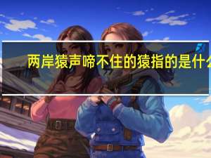 两岸猿声啼不住的猿指的是什么