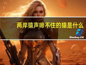 两岸猿声啼不住的猿是什么