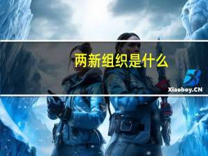 两新组织是什么
