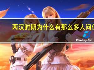 两汉时期为什么有那么多人问仁