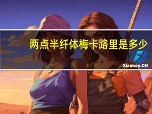 两点半 纤体梅卡路里是多少
