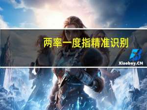 两率一度指精准识别（两率一度内容是什么）