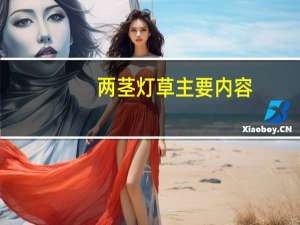 两茎灯草主要内容