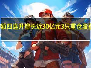 两融余额四连升增长近30亿元 3只重仓股获大手笔抢筹