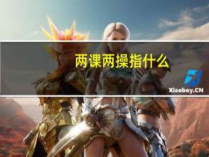 两课两操指什么