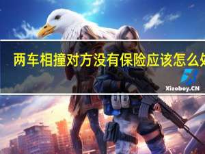 两车相撞对方没有保险应该怎么处理（两车相撞）