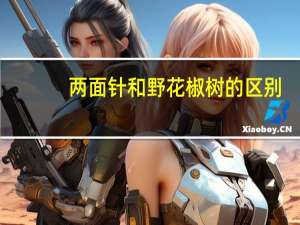 两面针和野花椒树的区别