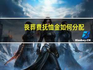 丧葬费抚恤金如何分配