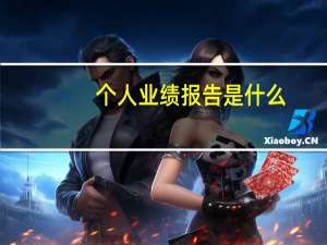 个人业绩报告是什么（个人业绩报告范文）