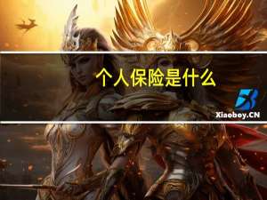 个人保险是什么