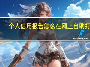 个人信用报告怎么在网上自助打印（个人信用报告怎么查）