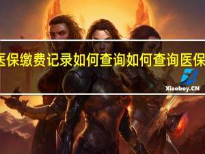 个人医保缴费记录如何查询　如何查询医保的缴费记录