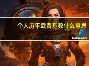 个人历年缴费基数什么意思