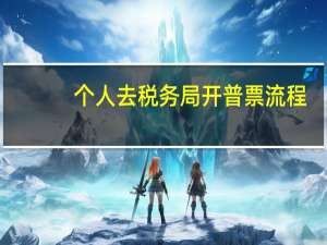 个人去税务局开普票流程