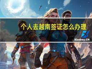 个人去越南签证怎么办理