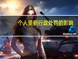 个人受到行政处罚的影响