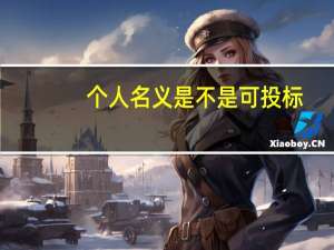 个人名义是不是可投标