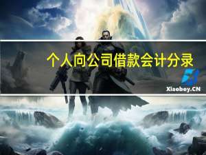 个人向公司借款会计分录