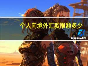 个人向境外汇款限额多少