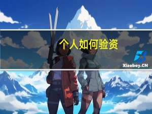 个人如何验资