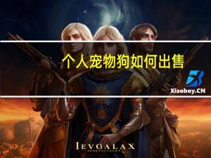 个人宠物狗如何出售