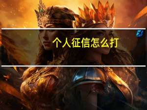 个人征信怎么打