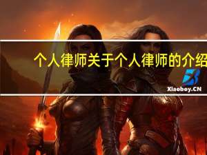 个人律师 关于个人律师的介绍