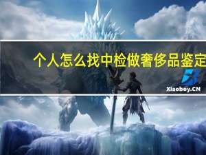 个人怎么找中检做奢侈品鉴定