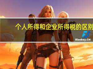 个人所得和企业所得税的区别