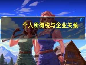 个人所得税与企业关系