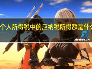 个人所得税中的应纳税所得额是什么意思