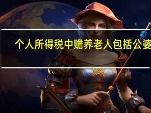 个人所得税中赡养老人包括公婆吗