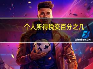 个人所得税交百分之几