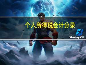 个人所得税会计分录