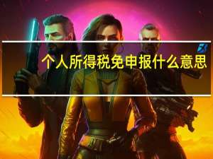个人所得税免申报什么意思