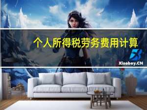 个人所得税劳务费用计算（劳务费个人所得税计算公式）