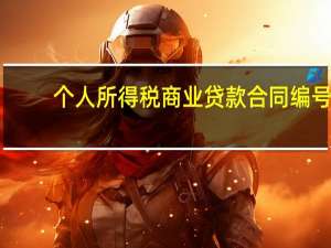 个人所得税商业贷款合同编号