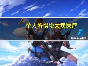 个人所得税大病医疗