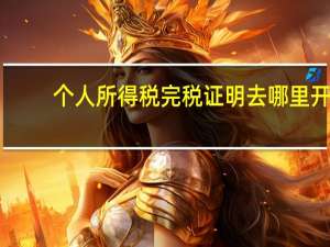 个人所得税完税证明去哪里开