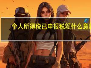个人所得税已申报税额什么意思