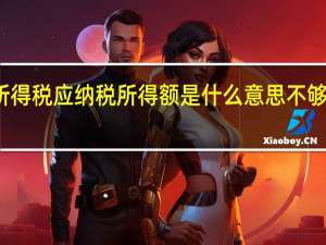 个人所得税应纳税所得额是什么意思不够的话要补吗