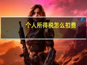 个人所得税怎么扣费