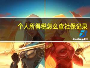 个人所得税怎么查社保记录